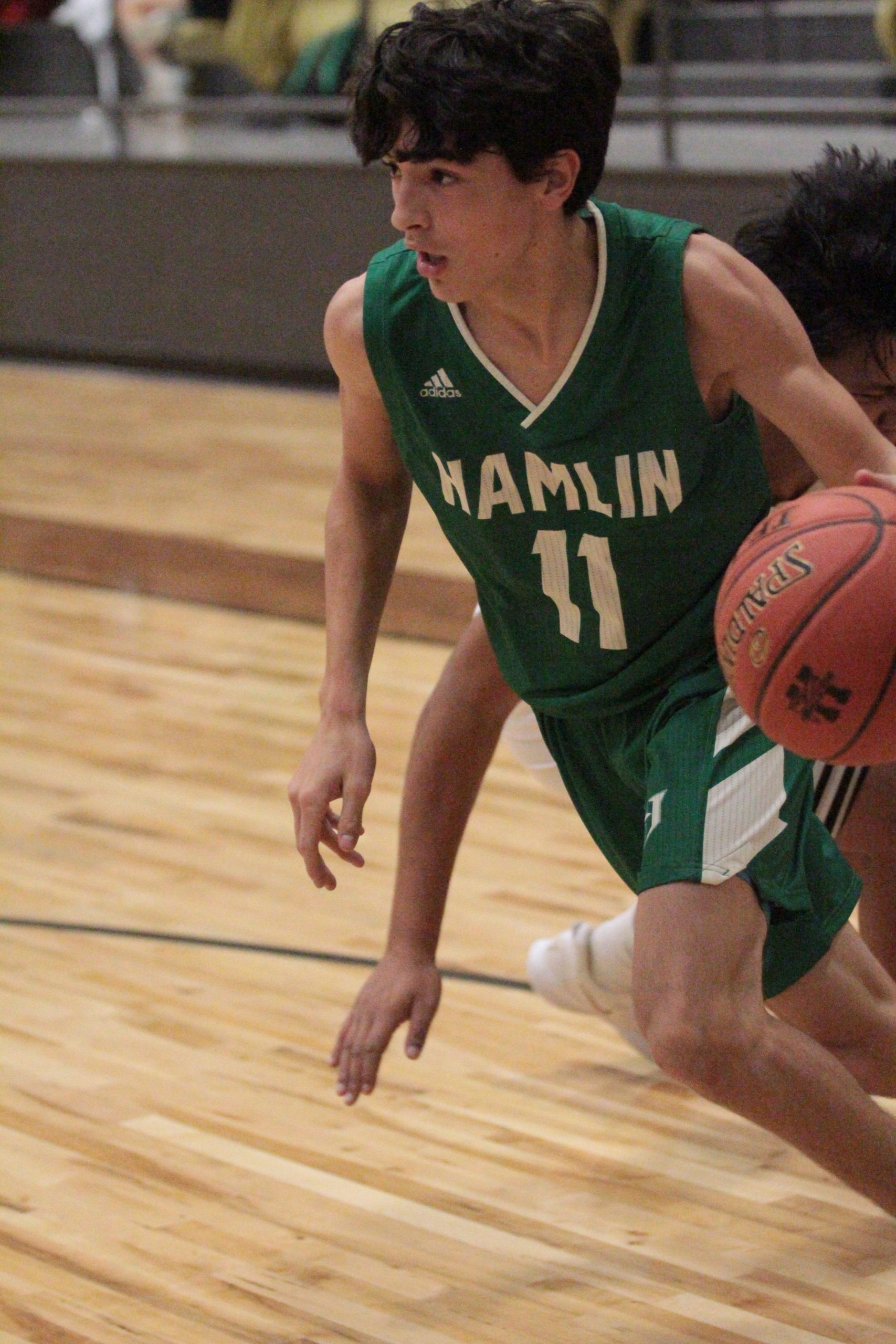 Hamlin Boys Basketball Varsity Preview